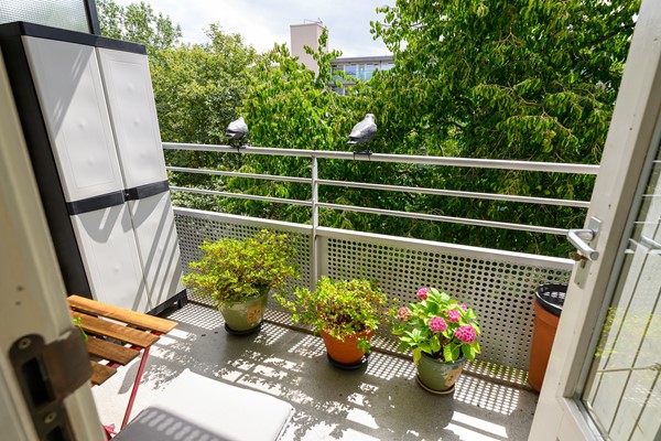 Medium property photo - Gravin Juliana van Stolberglaan 204, 2263 VL Leidschendam